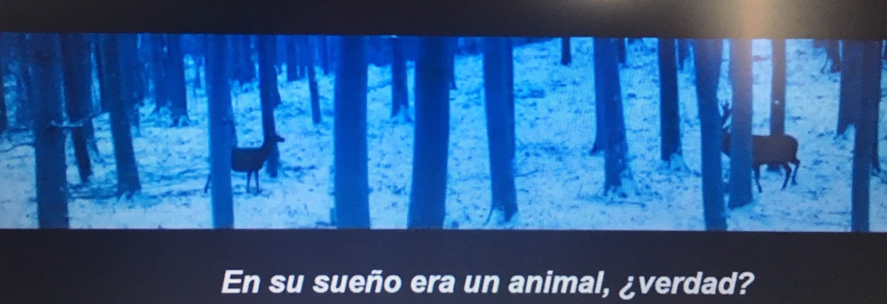 On Body and Soul, de Ildykó Enyedi