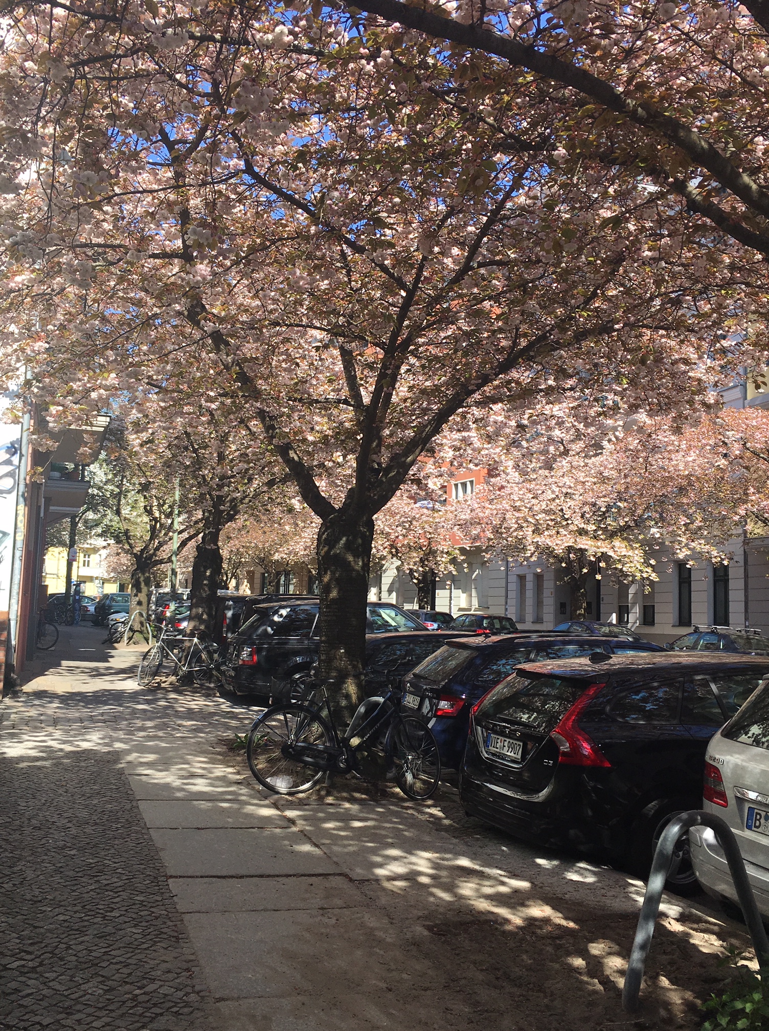 Berlín