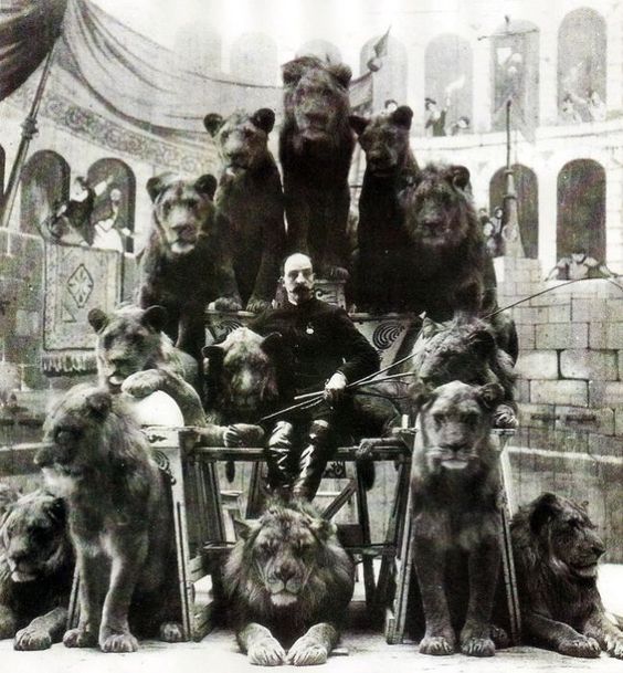 De leones y domadores
