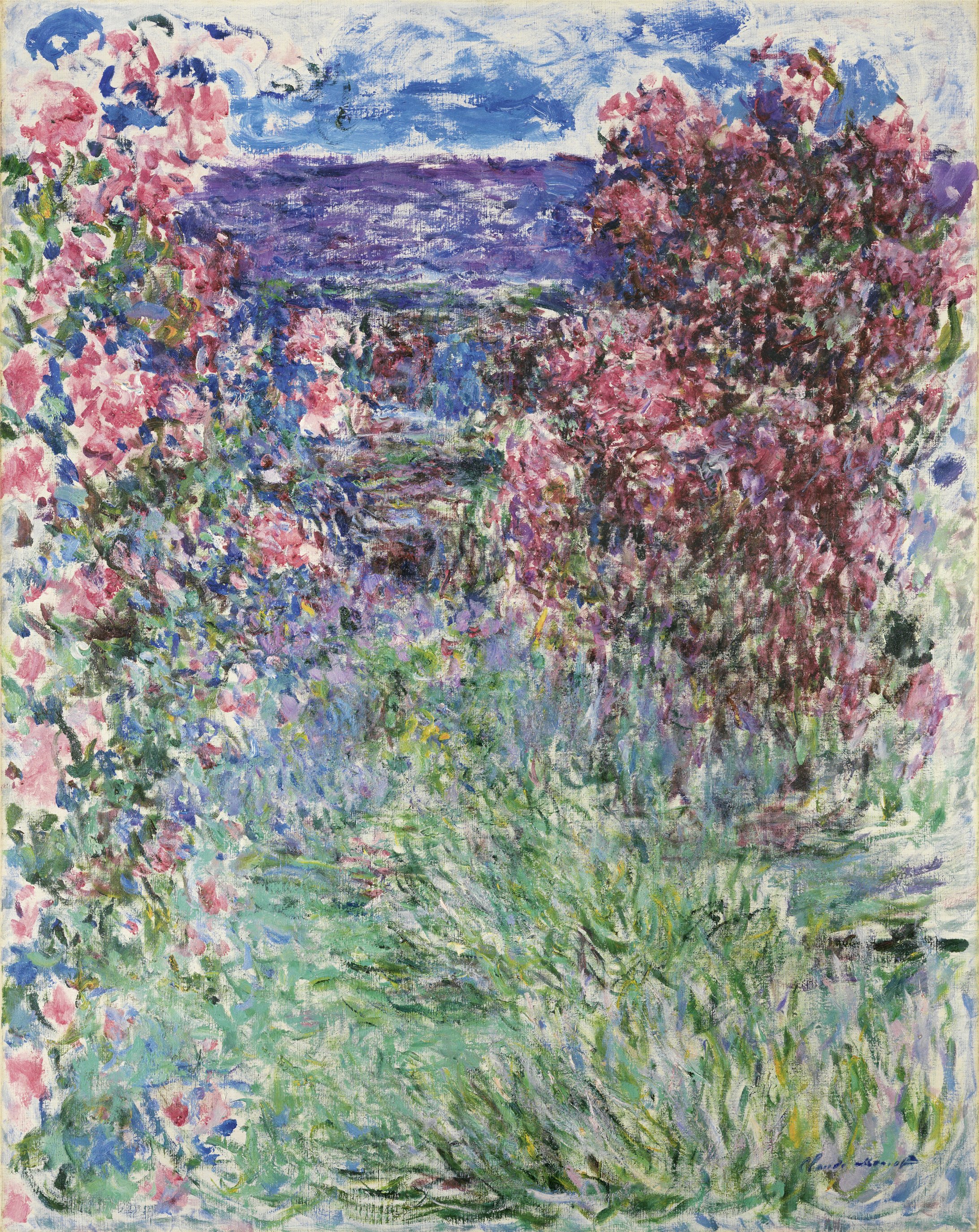 26 rosas
