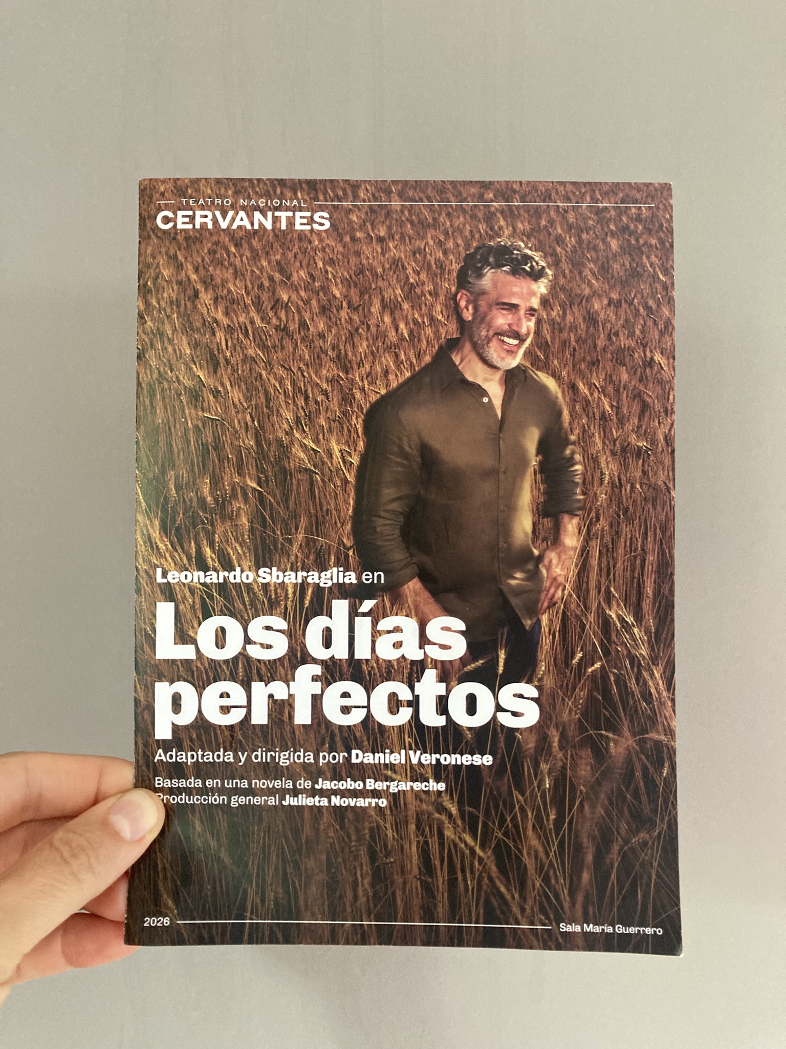Los días perfectos, de Daniel Veronese